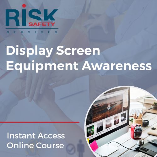 Display screen equipment training